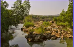 Lowveld National Botanical Gardens