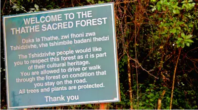Thathe Vondo Holy Forest, Limpopo