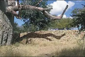 Thulamela, an Archaeological Site