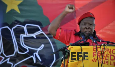 The Founding of the Economic Freedom Fighters (EFF)
