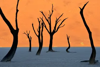 Namibian Timeline