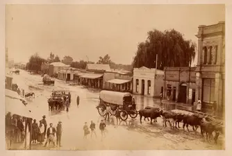 Pretoria Timeline 1800-2009
