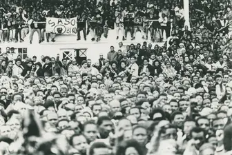 Black Consciousness Movement (BCM)