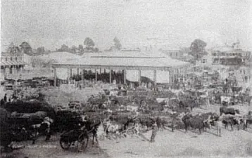 Bloemfontein the Segregated city