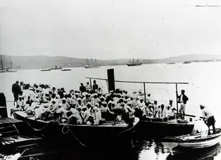 The Zulu kingdom and the colony of Natal 
