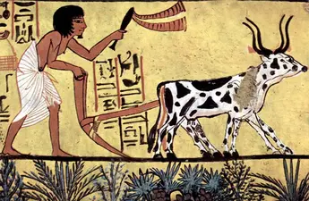 Way of life in ancient Egypt