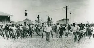 M Annual Mohlasane