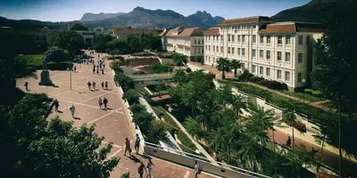 Afrikaans and the university language debate (Part 2): The ‘costs’ of institutional bilingualism - Part 2 - 2