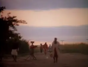 Township jive, Zimbabwe 1987 by Paul Simon
