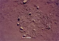 Prehistory of the Pretoria area