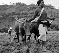 Land: dispossession, resistance and restitution