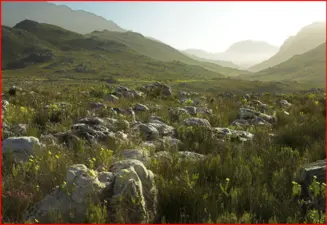 Kogelberg Biosphere Reserve, Kleinmond