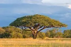Ameva River, Eastern Cape
