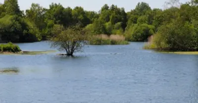 Amatikulu, a Nature Reserve in Kwa-Zulu Natal
