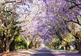 Annlin, a Suburb of Pretoria