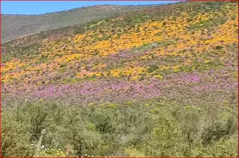 Biedow Valley, Western Province
