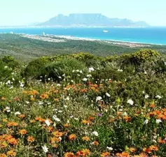 Blaauwberg Nature Reserve, Melkbosstrand
