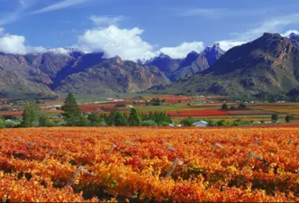 Breede River Valley, Route 62