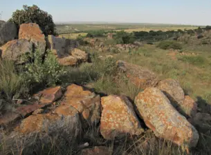Bronberg Conservancy, Pretoria