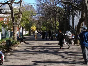 Company Gardens in Cape Town