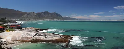 Cypress Tea Gardens, Hermanus
