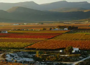 De Doorns, Cape Winelands