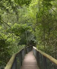 Eshowe, Northern Kwa-Zulu Natal