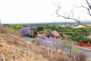 Flourana, Akasia -Pretoria