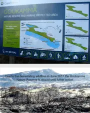 Goukamma Nature Reserve, Sedgefield