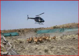 Graaff-Reinet