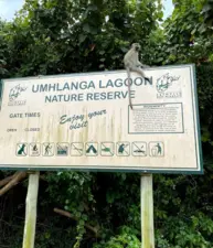 Hawaan Forest, Umhlanga