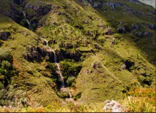 Hottentots Holland Mountains Nature Reserve