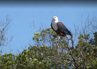 iSimangaliso Wetland Park, former Greater St. Lucia Wetlands Park