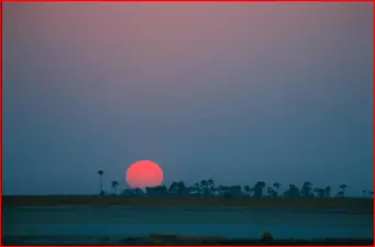 Kalahari Desert