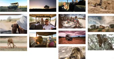 Kgalagadi Transfrontier Park