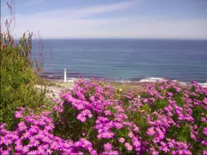 Kommetjie, Cape Town