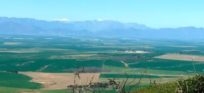 Koringberg