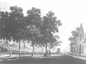 Constantia