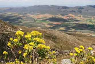 Langkloof Valley, Eastern Cape