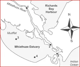Mhlathuze River