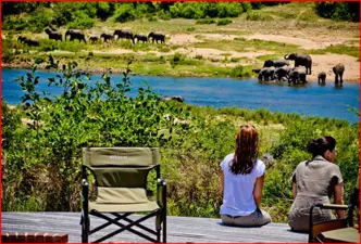 Mjejane Game Reserve