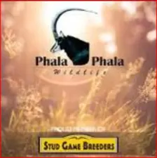 Phala Phala, Game Farm 