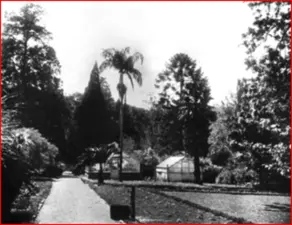Pietermaritzburg Botanical Gardens