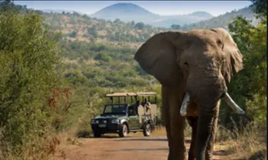 Pilanesberg Game Reserve  