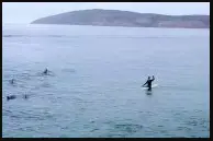 Plettenberg Bay, Garden Route