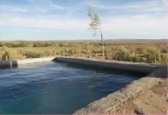 Reneen, Northern Cape