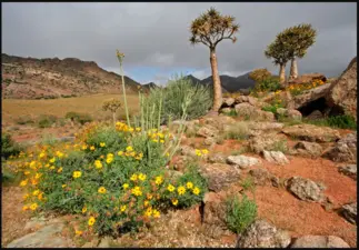 Richtersveld Cultural and Botanical Landscape, Northern Cape