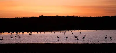 Rocher Pan Nature Reserve