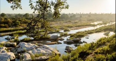 Sabie Sands Game Reserve