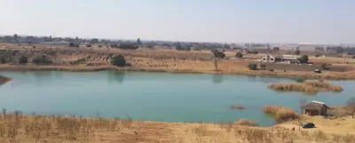 Springs